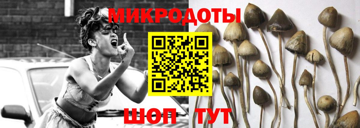 Галлюциногенные грибы прущие грибы Урюпинск